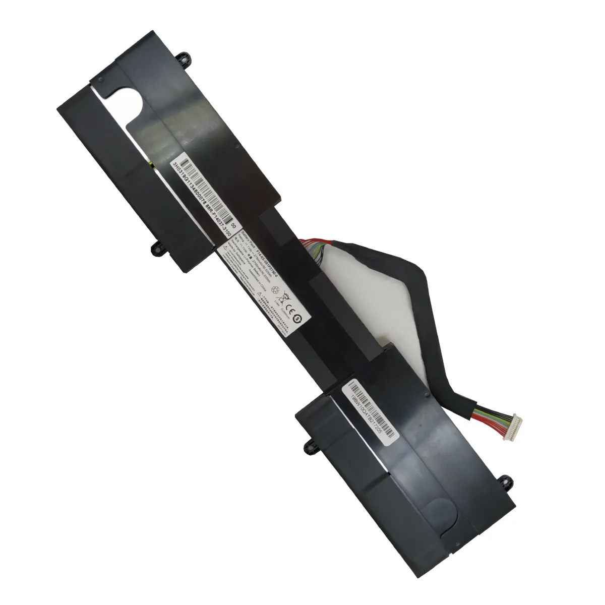 BIF810
